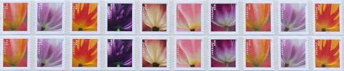 USPS 2023 Tulip Blossom Forever First Class Postage Stamps (20 Count)
