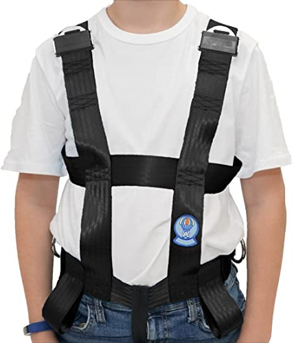 EZ-ON Products 303Z Large Rear Zipper Closure Durable Personal Vehicle User-Friendly Safety Transportation Vest with Seat Belt Loops. Meets NHTSA Regulation. Mount Sold Separately.