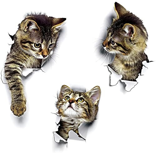 WandSticker4U®- 3x 3D KATZEN zum Kleben I Wandsticker Klo WC Aufkleber Toilettendeckel Katze selbstklebend I Wandtattoo Tier Küche Möbel Tür- & Kühlschrank-Aufkleber