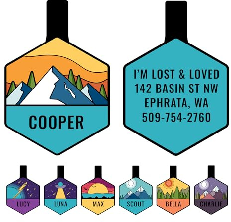 GoTags Silent Dog Tag, Personalized Engraved Hexagon Silicone Dog and Cat Name Pet ID Tags, Soundless No More Jingling Dog Tags (Mountain Orange)