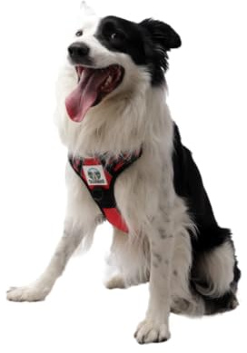 Scoobro Arnés 3 en 1 para Perro: Cómodo y Transpirable Anti-tirones, con Correa, Acolchado con Líneas Reflectantes y Doble Enganche Metálico (Rojo Grande)