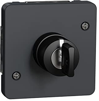 Schneider Electric - Mureva Styl - Interrupteur à clé 3 positions - composable - IP55 - IK08 - gris - MUR35061