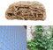 Eco-Friendly Biodegradable Jute Sweet Pea Trellis Netting - Compostable Natural Garden Jute Trellis Net for Climbing Plants, Vegetables, Tomatoes, Runner Beans (1m*5m)