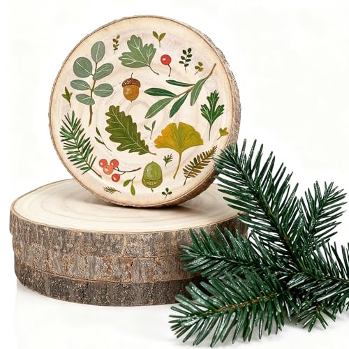 Rodajas de Madera Natural 4 Piezas, Discos de Madera Redondos 18-20 cm, 15mm de Grosor con Cortezas, Troncos Madera Decoración para Bricolaje, Manualidades, Pintura y Pirograbador