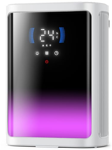 Deumidificatore Casa Muffa 2.8L,Deumidificatore Portatile Elettrico e Ultra Silenzioso Con Rilevamento Termico,Scongelamento smart,Timer LED, Per la Casa,Bagno Cabina Armadio (800ml/24H)