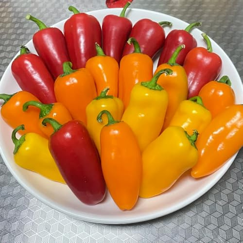 Semi di peperone, varietà antiche di peperoncino da balcone biologici giardino, 75pcs