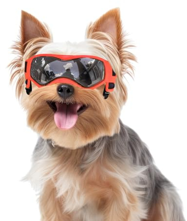 Small Breed Dog Goggles, Sunglasses with UV Protection, Adjustable Straps - Orange