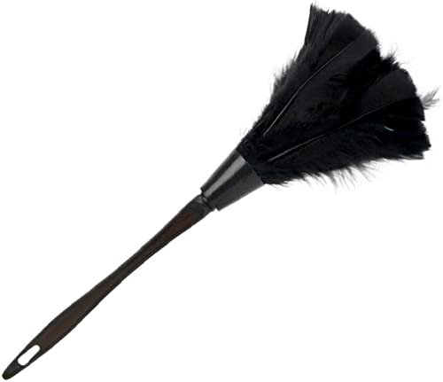 Spolverino per tacchino, spazzola per spolverino per tacchino morbida Manico lungo con foro Mobili per la casa Strumenti per la pulizia dell'auto Facile da usareNützlich und praktisch