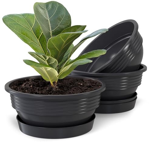 Plastard Pflanzschale mit Untersetzer im 3er Set in Anthrazit 32 cm Durchmesser große runde Blumenschalen aus Kunststoff für Garten Terrasse Wohnung für Aussen und Innen Schalen Pflanztopf