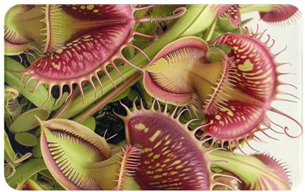 Paillasson antidérapant imprimé plante carnivore 80 x 50,8 cm – Flanelle absorbante pour la maison et le bureau