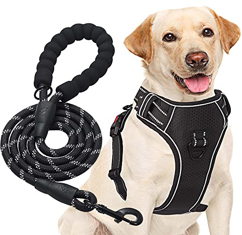 haapaw Arnés para Perro sin Tirar, Ajustable, Reflectante Oxford, fácil de controlar, Mediano y Grande, con una Correa para Perro Resistente