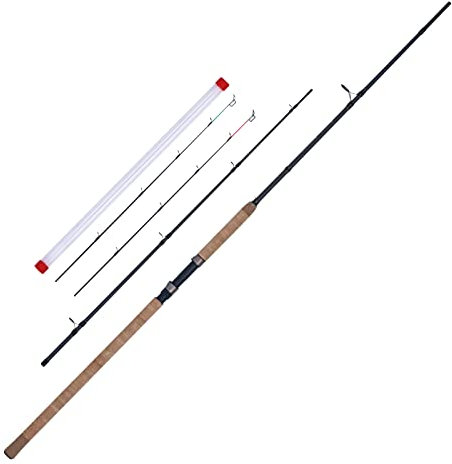 WFT Lake'N'River Heavy Aal Feeder 270m up to 200g - Feederrute, Steckrute, Rute zum Feederangeln