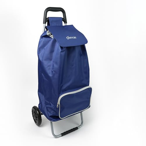 DIVCHI Chariot de Courses avec 2 Roues – Chariot de Courses Pliable et Robuste – Chariots d'épicerie – Chariot Utilitaire – Chariot de Rangement à Tirer – Chariot de Rangement (Bleu)