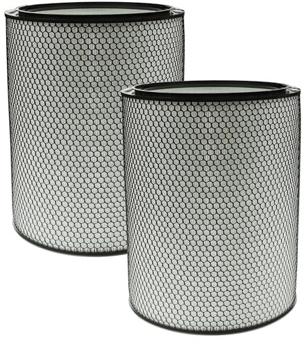 vhbw 2x HEPA 13 Filter kompatibel mit Dyson HEPA Big+Quiet Formaldehyde BP06 Luftreiniger - Ersatz-Filter