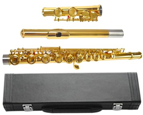 tvärflöjt instrument Flöjt 16 stängda hål flöjt C nyckel nybörjare professionell prestanda