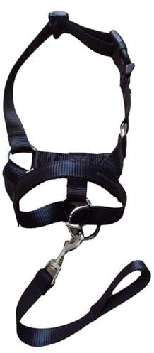 Muso Di Cane | Pettorina Per Cani, Cavezza, Museruola Con Cinghie Regolabili | Il Morbido Supporto Per Addestramento Per La Protezione Della Bocca Del Cane Nero, Traspirante E Confortevole, Impedisce