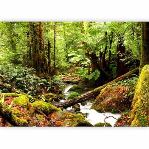 murando Photo Wallpaper Forest 300x210 Centimetres Non-Woven Premium Art | Print Fleece Wall Mural Decoration Poster Picture Design Modern Forest Watercourse Nature