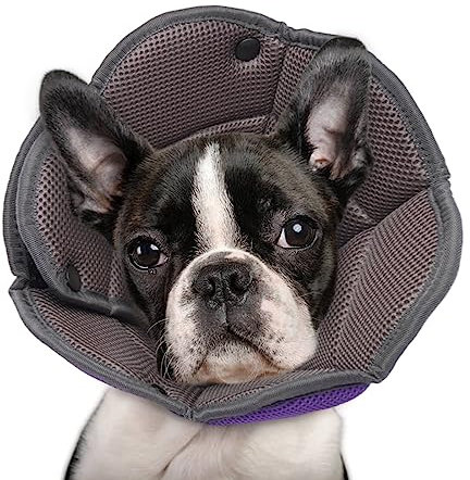 Halskrause für Hund, Halskrause Katze, Schutzkragen Hund, Atmungsaktiver Hundehalskragen FüR Kleine, Mittlere Und GroßE Hunde, Verstellbarer Hunde-Erholungskragen Nach Der Operation - Lila M