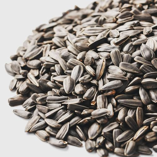 Graines de Tournesol rayées GardenersDream - Mélange de graines énergétiques pour Les Oiseaux de Jardin - Parfait pour Les mangeoires et Les passionnés de la Faune.