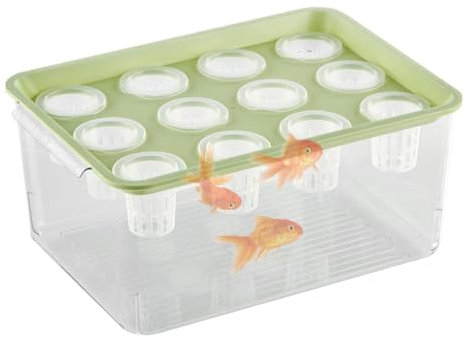 Pot de fleurs hydroponique avec réservoir à poissons Betta - Aquarium de bureau aquaponique pour et poissons combattants - Culture durable de l'eau pour des saines et des poissons