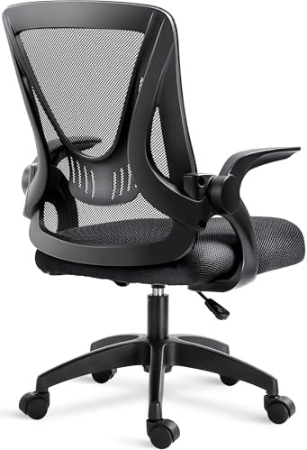 Blisswood Adjustable Office Chair, Desk Chair, Mesh Swivel Chair With 90° Flip-up Armrest Computer Chair With Lumbar Support Adjustable Height (Black)