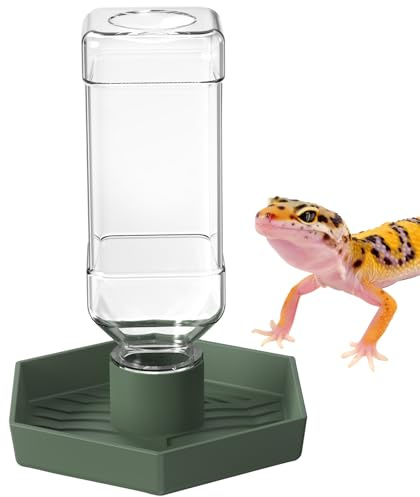 NOMOY Reptile Water Dispenser-Bearded Dragon Water Bowl - Small Water Dish for Tortoise - Bowls for Reptiles & Amphibians (S)