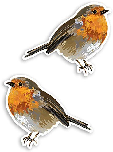 2 x 10cm Cute Red Robin Vinyl Stickers - Bird Wildlife Garden Fun Sticker #30913 (10cm Wide)