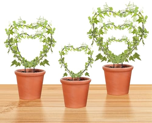 Hoya - Set di tralicci di 3 dimensioni per piante da interno, supporto per fiori, rotondi o a forma di cuore, in metallo, accessori da giardino per piccole piante rampicanti (nero)