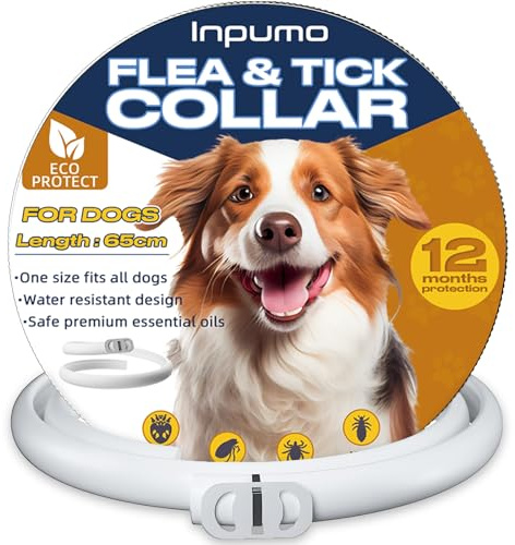Collier Anti Puces pour Chien, Réglable Collier Anti Puces Chien Naturel Imperméable, 12 Mois Protection Collier Anti-Puces et Anti-tiques, 1 Paquet