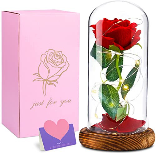 DIDUDE Rose Eternelle sous Cloche,La Belle et la Bête Rose,avec Lumineuse LED, Dôme en Verre et Base en Bois, Fête des Mères Saint-Valentin Cadeaux Anniversaire