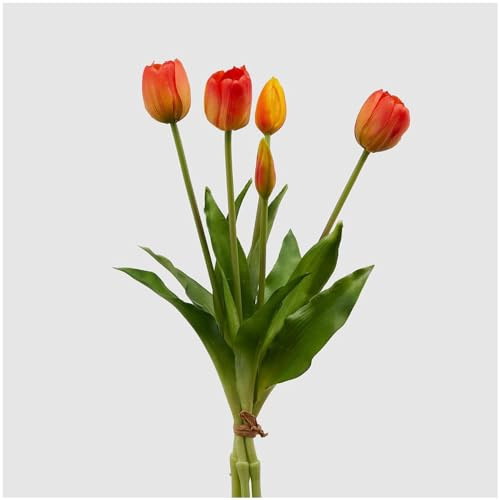 EDG Enzo de Gasperi Bouquet di tulipani Arancio