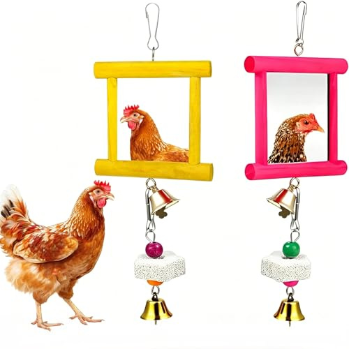 2pcs Chicken Toys For Hens, Hanging Bell Parrot Chicken Swing Mirror | + 2pcs Beak Grinding Stones, Chicken Coop Accessories For Entertainment,Ideal For Backyard Farms And Poultry Wellbeing