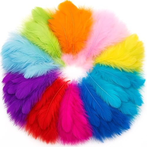 Feathers for Crafting, 500 PCS Colorful Craft Feathers, Ideal for DIY Projects School Crafts Party Decorations Dreamcatchers Jewelry, Craft Supplies for Kids and Adults