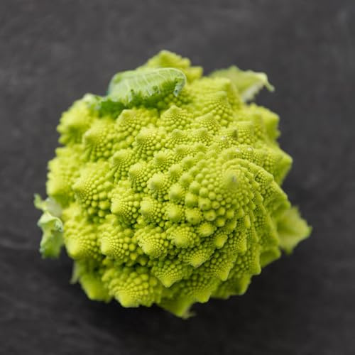 semillas de coliflor silvestre, raras, exóticas variedades antiguas, balcón orgánicas, 400pcs