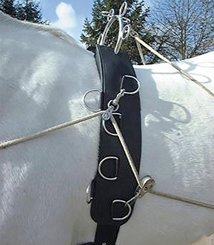 Felix Brasseur Multi-Longiergurt