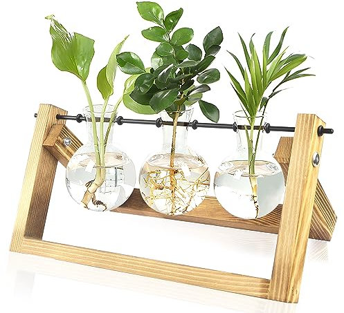 Florero de Vidrio Jarrón de Cristal para Planta Hidropónica con Soporte de Madera de Escritorio para Colgar En La Pared Estación de Propagación Soporte 3 Bombillas