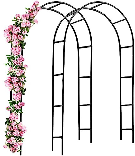 Deuba 2X Arche de Jardin 240x140x37cm Support pour Plantes grimpantes Arche à rosiers Tuteur Décoration extérieure