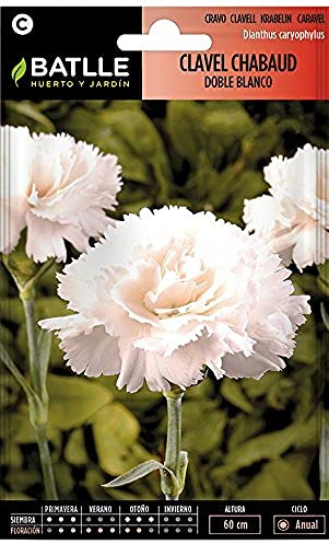 Semillas de Flores - Clavel Chabaud Doble blanco - Batlle