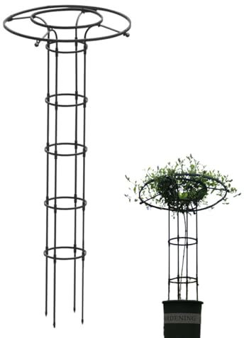 Celosía para Plantas Trepadoras - Estructura Vertical de Soporte para Hortalizas | Estructura Metálica de Jardinería Exterior para Plantas Trepadoras y Vides