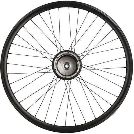 cyclingcolors 1x Fahrrad Hinterrad Felge Komplette Rand Radius Nabe für Elektrofahrrad VAE Größe 26 Ohne Motor kompatibel mit WHEELYOO 622