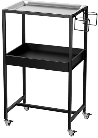 POARMEEY Chariot à tatouages à 2 niveaux, plateau sur roulettes avec plateau amovible en acier inoxydable, couche de rangement pour outils pour salon de tatouage, spa, cliniques, bureau, maison