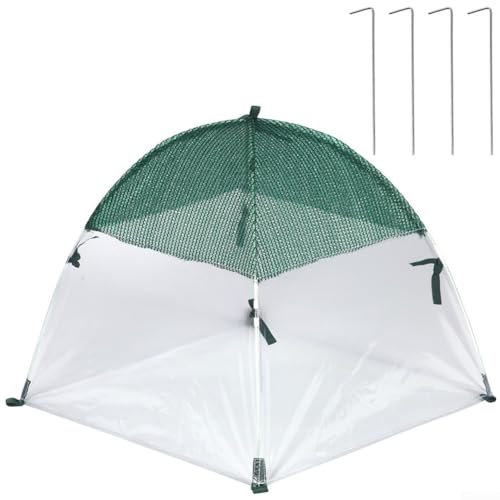 Mini serre pour plantes d'intérieur et d'extérieur - Tente de protection avec clous de sol - Abri de protection pour plantes de jardin - 60 x 60 x 60 cm (P)