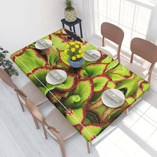ESNAIUVCD Nappe rectangulaire avec imprimé de plantes carnivores - Résistante à l'huile - Pour restaurant, fête dans le jardin (1,2 m)