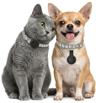 GPS per Cani, Collare GPS Gatto con Tracciamento in Tempo Reale, Localizzatori GPS per Cani Compatibile con iOS e Android, Nessun Abbonamento, Posizionamento Globale Impermeabile IPX6 - Grigio
