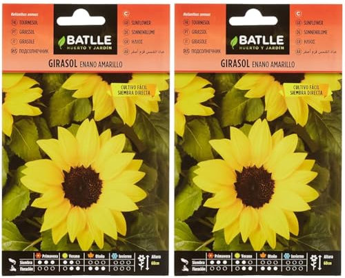 Battle- Semi di Fiori, Girasole Nano Giallo (Confezione da 2)