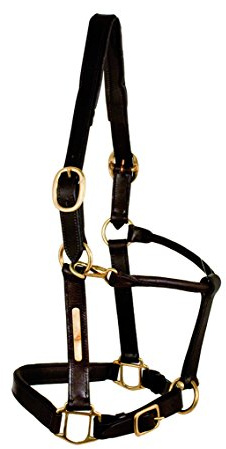 Tattini Cabezada de Cuero para Caballo, Piel Acolchada