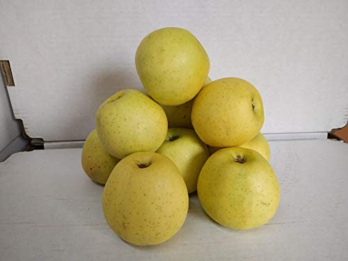 Caja Todo Manzana Golden Primera 3,5 kilos