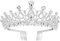 FRCOLOR Diadem mit Strasssteinen und Kamm von Pageant Princess Crown (Silber)