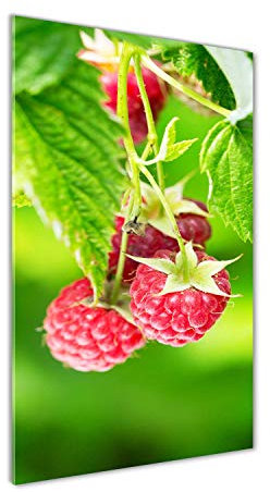 Tulup Acrylic Print Wall Art 60x120cm Image printed on Acrylic Decorative Wall Picture behind Toughened/Tempered Safety Real Acrylic for Kitchen & Living Room - Raspberries on the bush