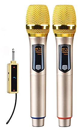 Liudan Microphone Wireless Microphone Dual Home Outdoor Portable Universal Microphone Professional UHF Dynamic Microphone with Receiver, 2 Colors Handheld Microphone (Color : Gray)